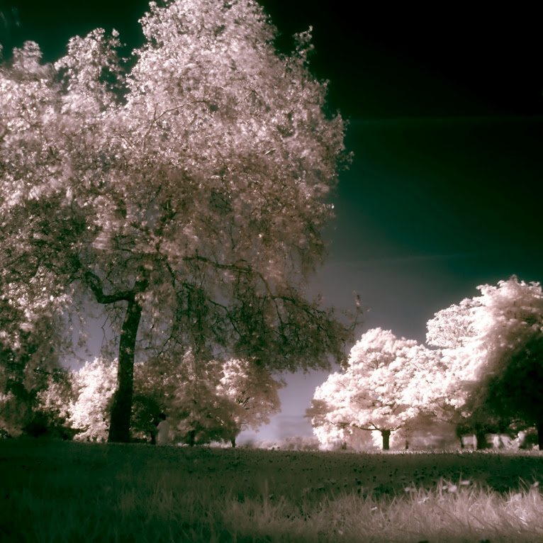 IR infrared Photography