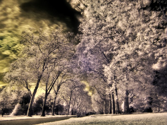 IR infrared Photography